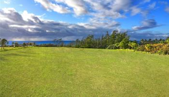 00 Kapoli Street 4 Kealia, Hi vacant land for sale - photo 6 of 15