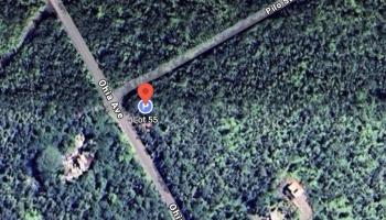 00 Ohia Ave  Mountain View, Hi vacant land for sale - photo 2 of 6