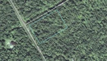 00 Ohia Ave  Mountain View, Hi vacant land for sale - photo 4 of 6