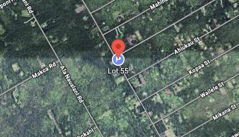 00 Ohia Ave  Mountain View, Hi vacant land for sale - photo 5 of 6