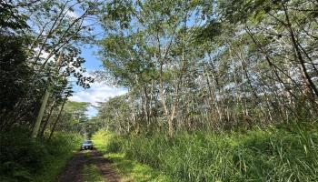 00 Pikake Rd  Pahoa, Hi vacant land for sale - photo 1 of 8