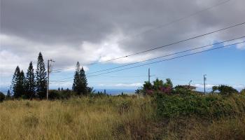 00 Puunana St Maunaloa, Hi 96770 vacant land - photo 1 of 4 00 Puunana St Maunaloa, Hi 96770 vacant land - photo 1 of 4