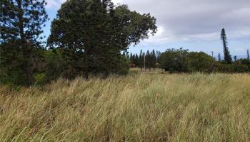 00 Puunana St Maunaloa, Hi 96770 vacant land - photo 3 of 4 00 Puunana St Maunaloa, Hi 96770 vacant land - photo 3 of 4