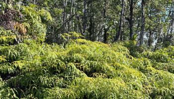 000 19th Ave  Keaau, Hi vacant land for sale - photo 2 of 15