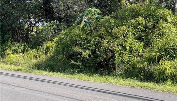 000 19th Ave  Keaau, Hi vacant land for sale - photo 3 of 15