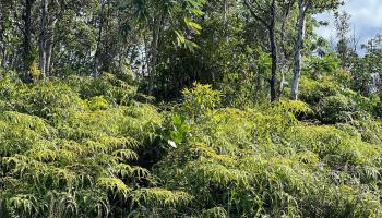 000 19th Ave  Keaau, Hi vacant land for sale - photo 6 of 15