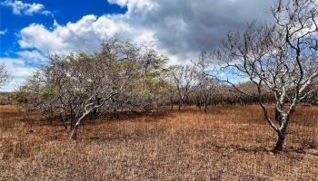 000 Kalua Koi Road Lot 38 Maunaloa, Hi vacant land for sale - photo 4 of 8