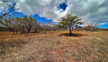 000 Kalua Koi Rd Lot 38 Maunaloa, Hi vacant land for sale - photo 6 of 8