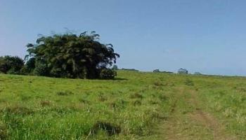 000 Old Mamalahoa Hwy  Papaaloa, Hi vacant land for sale - photo 3 of 9