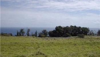000 Old Mamalahoa Hwy  Papaaloa, Hi vacant land for sale - photo 5 of 9