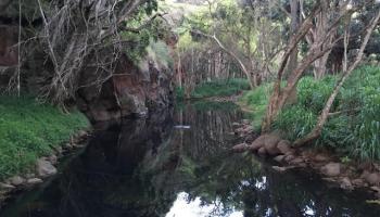 0000 Kamehameha Hwy Lot 38 Haleiwa, Hi vacant land for sale - photo 1 of 24