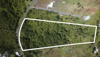 0000 Kaumana Drive  Hilo, Hi vacant land for sale - photo 1 of 1