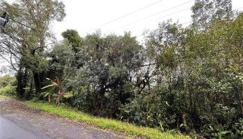 0000 Palainui St  Mountain View, Hi vacant land for sale - photo 3 of 12