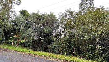 0000 Palainui St  Mountain View, Hi vacant land for sale - photo 4 of 12