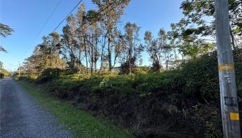 00000 8th Ave  Keaau, Hi vacant land for sale - photo 6 of 6