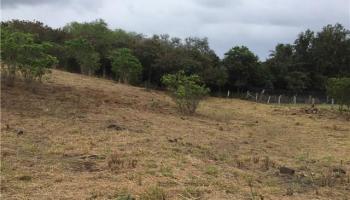 00000 Kamehameha V Hwy  Kaunakakai, Hi vacant land for sale - photo 6 of 16