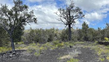 00000 Road to the Sea Road  Naalehu, Hi vacant land for sale - photo 3 of 14