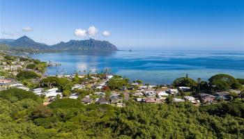 1 Kamehameha Hwy  Kaneohe, Hi vacant land for sale - photo 4 of 11