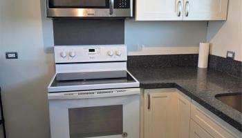 1052 Ala Nanu St Honolulu - Rental - photo 6 of 21