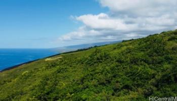 110 Ea Road  Captain Cook, Hi vacant land for sale - photo 1 of 1