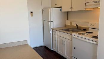 1112 Kinau St Honolulu - Rental - photo 5 of 10