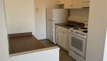 1112 Kinau Street Honolulu - Rental - photo 4 of 10