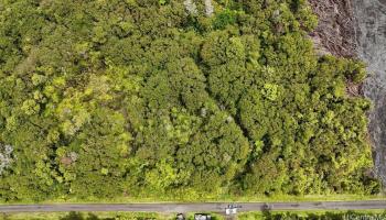 11-1733 Punawai Ave  Mountain View, Hi vacant land for sale - photo 2 of 4