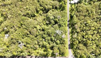 11-1733 Punawai Ave  Mountain View, Hi vacant land for sale - photo 3 of 4