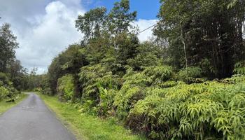 11-1733 Punawai Ave  Mountain View, Hi vacant land for sale - photo 4 of 4