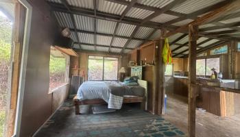 11-1778 Ahiukau Street  Mountain View, Hi vacant land for sale - photo 6 of 18