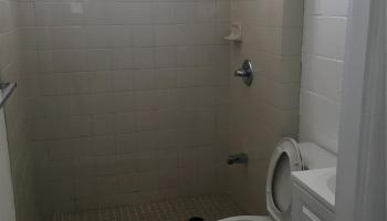 1118 Hoolai St Honolulu - Rental - photo 6 of 13