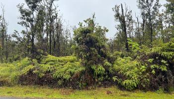 11-2683 Ala Kapena Road  Volcano, Hi vacant land for sale - photo 1 of 1