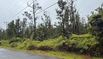 11-2683 Ala Kapena Rd  Volcano, Hi vacant land for sale - photo 2 of 6