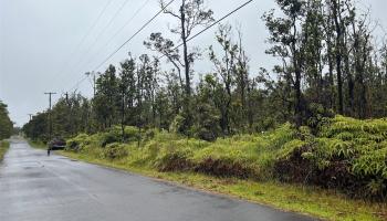 11-2683 Ala Kapena Rd  Volcano, Hi vacant land for sale - photo 3 of 6