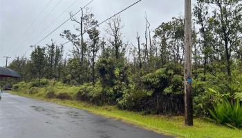 11-2683 Ala Kapena Rd  Volcano, Hi vacant land for sale - photo 5 of 6