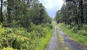 11-2687 Lelehuna Road  Volcano, Hi vacant land for sale - photo 1 of 6