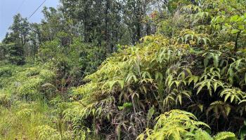 11-2688 Kilinahe Rd  Volcano, Hi vacant land for sale - photo 1 of 6