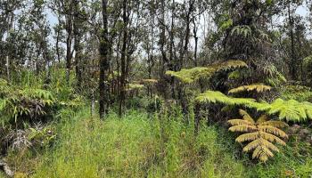 11-2688 Kilinahe Rd  Volcano, Hi vacant land for sale - photo 3 of 6