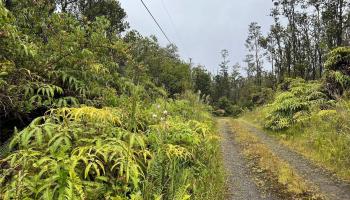 11-2688 Kilinahe Rd  Volcano, Hi vacant land for sale - photo 4 of 6