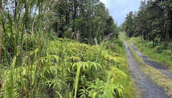 11-2693 Lelehuna Rd  Volcano, Hi vacant land for sale - photo 1 of 6