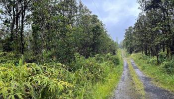 11-2693 Lelehuna Rd  Volcano, Hi vacant land for sale - photo 2 of 6