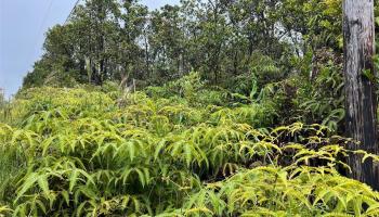 11-2693 Lelehuna Rd  Volcano, Hi vacant land for sale - photo 5 of 6