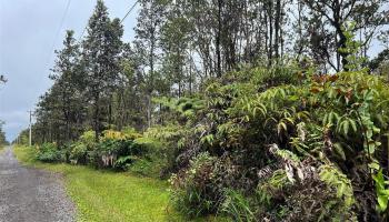 11-2697 Ohialani Road  Volcano, Hi vacant land for sale - photo 1 of 8