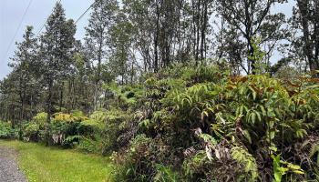 11-2697 Ohialani Rd  Volcano, Hi vacant land for sale - photo 2 of 8