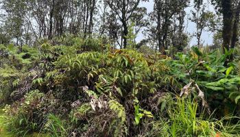 11-2697 Ohialani Rd  Volcano, Hi vacant land for sale - photo 3 of 8