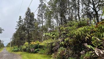 11-2697 Ohialani Rd  Volcano, Hi vacant land for sale - photo 5 of 8