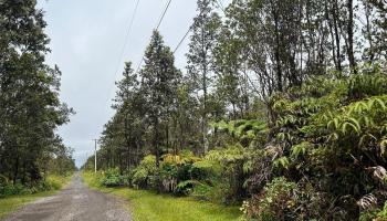 11-2697 Ohialani Rd  Volcano, Hi vacant land for sale - photo 6 of 8