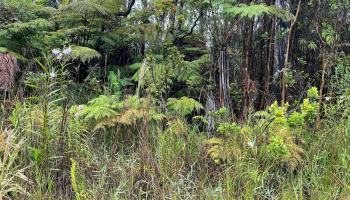 11-2862 Kaleponi Rd  Volcano, Hi vacant land for sale - photo 2 of 7