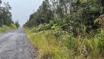 11-2862 Kaleponi Rd  Volcano, Hi vacant land for sale - photo 4 of 7