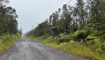 11-2862 Kaleponi Rd  Volcano, Hi vacant land for sale - photo 6 of 7